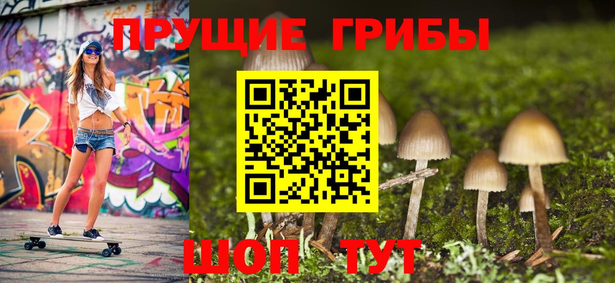 Лосино-Петровский  Псилоцибиновые грибы Psilocybine cubensis  что такое   Галлюциногенные грибы GOLDEN TEACHER  Вход с VPN 