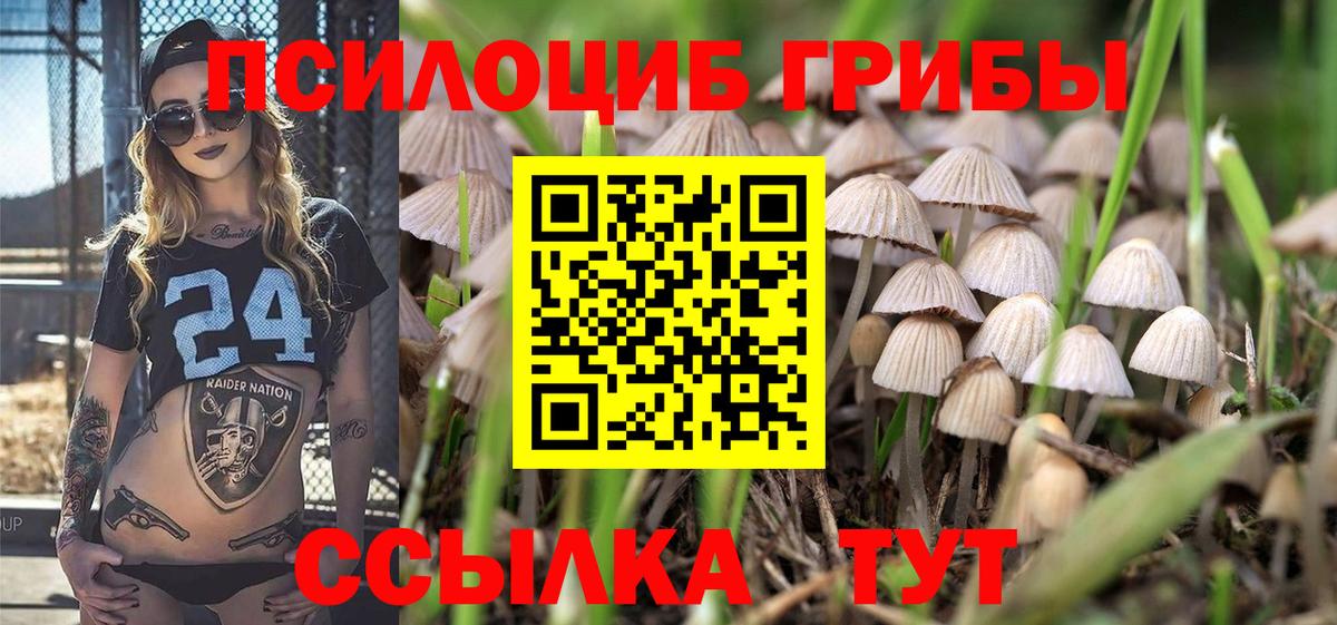 Галлюциногенные грибы Psilocybine cubensis Лосино-Петровский